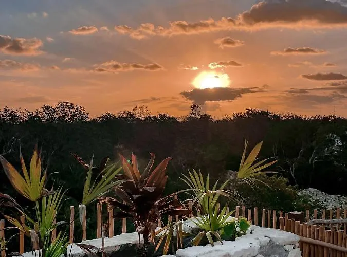 Apartment Vida Jungle Boho 14 With Special Fee To Access Bardo Tulum