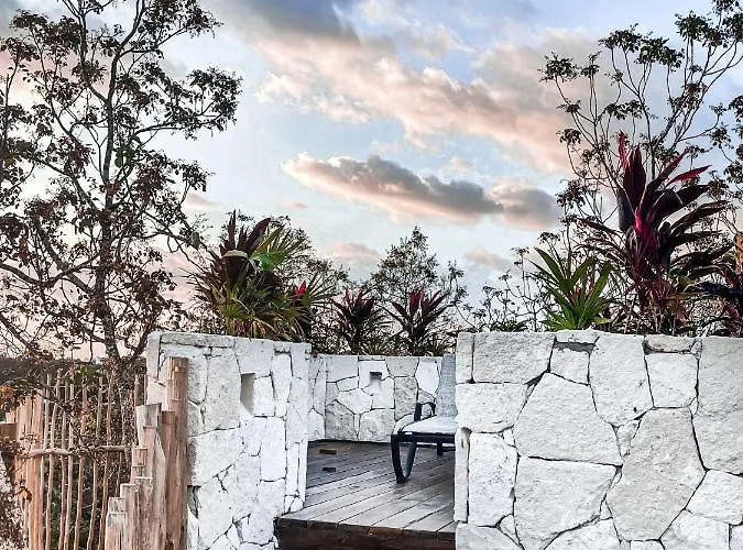 Vida Jungle Boho 14 With Special Fee To Access Bardo * Tulum