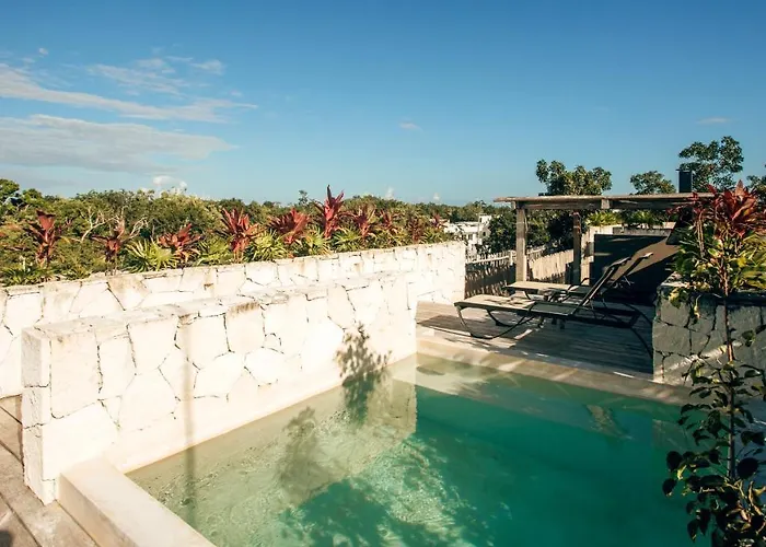 Vida Jungle Boho 14 With Special Fee To Access Bardo *