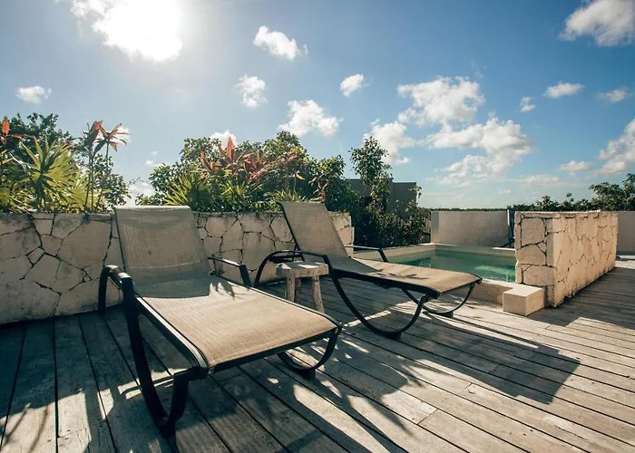 Vida Jungle Boho 14 With Special Fee To Access Bardo Apartment