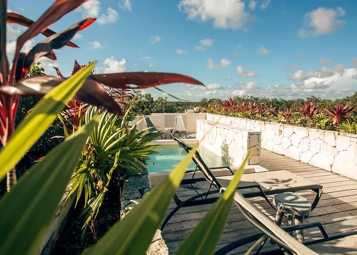 Vida Jungle Boho 14 With Special Fee To Access Bardo *