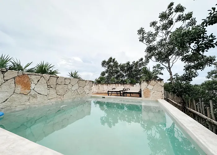 Vida Jungle Boho 14 With Special Fee To Access Bardo *